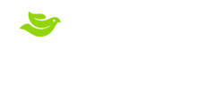 LifeStone Ministries